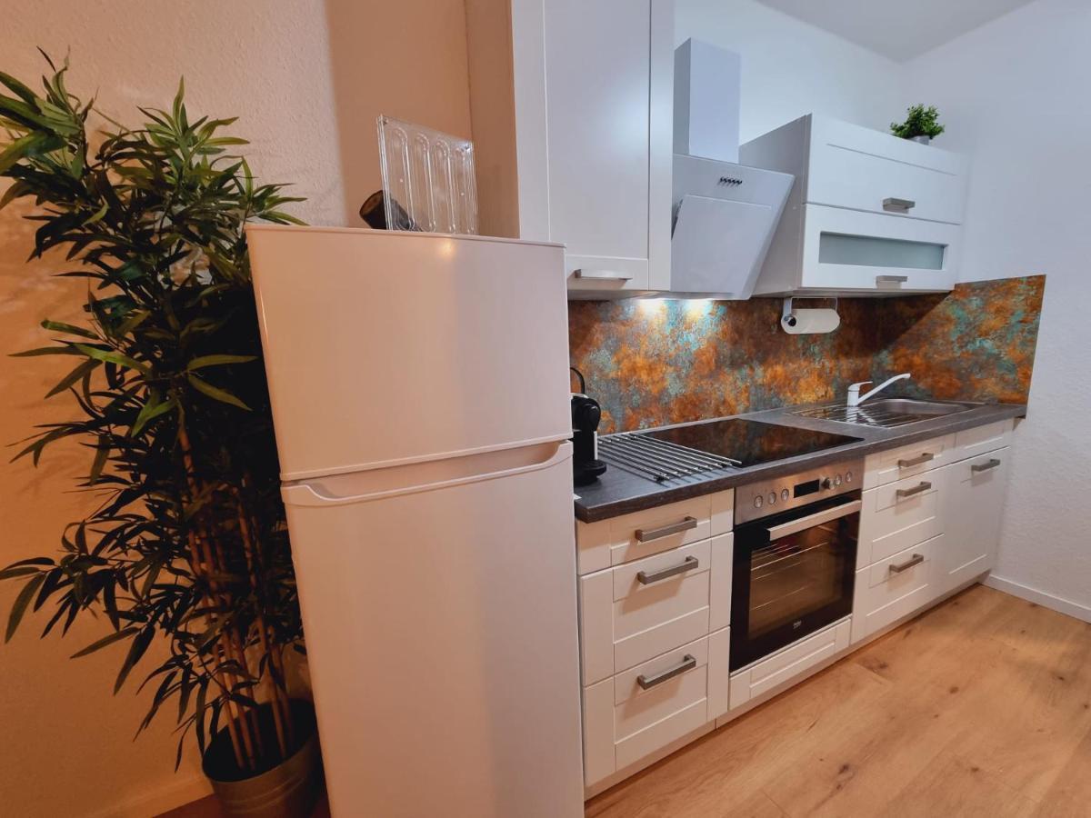 Lifestyle-Appartment Near Basf In Ludwigshafen 外观 照片